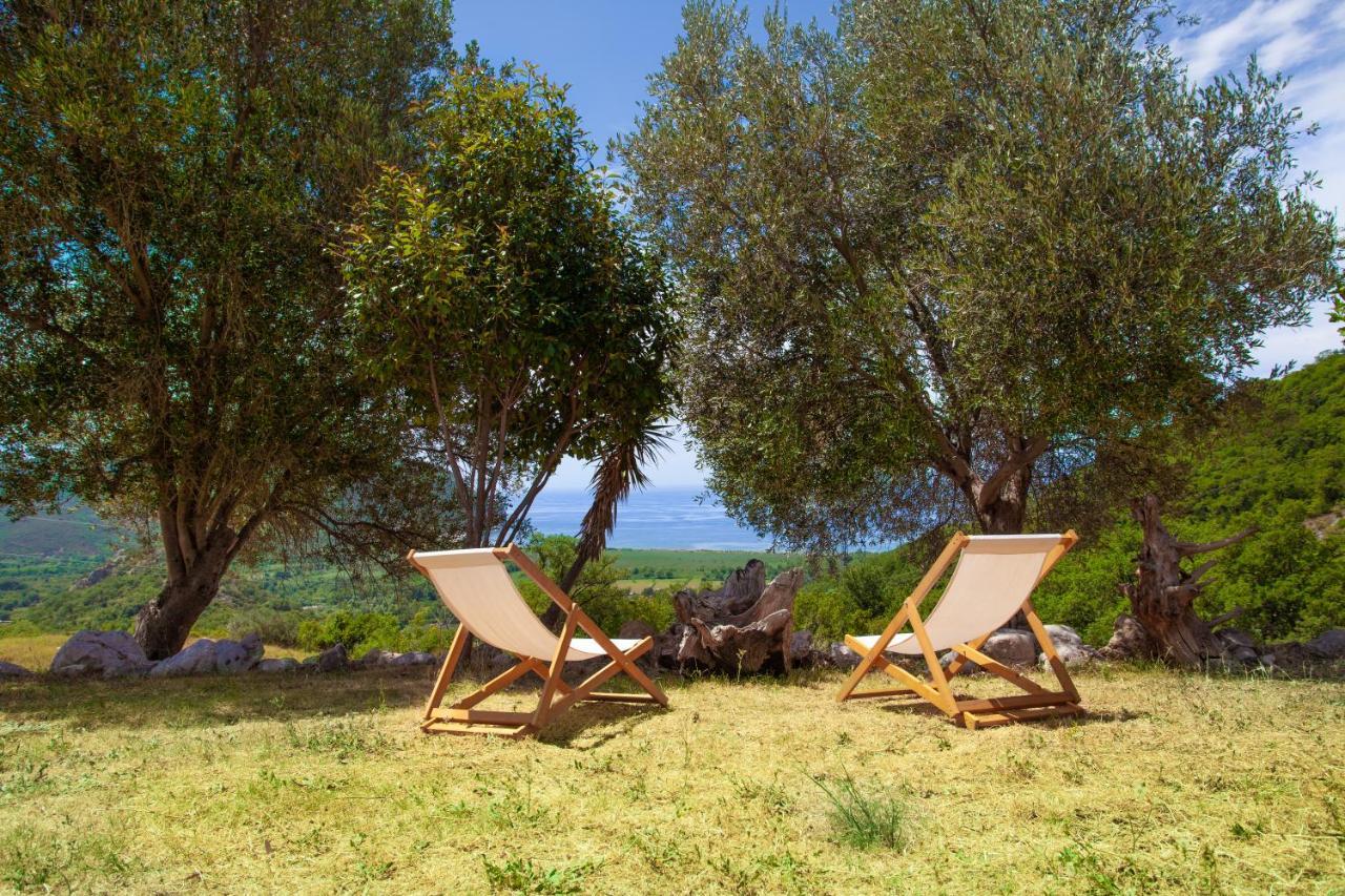 Eco Village Buljarica Budva Kültér fotó